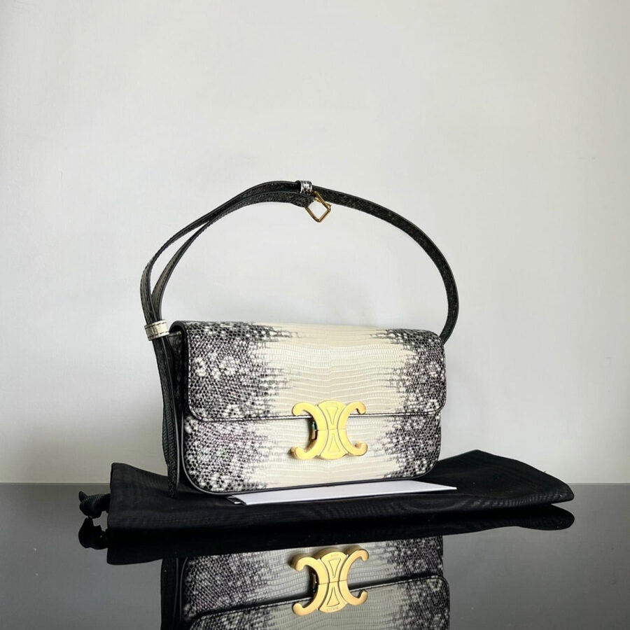 Celine Triomphe bag – front view
