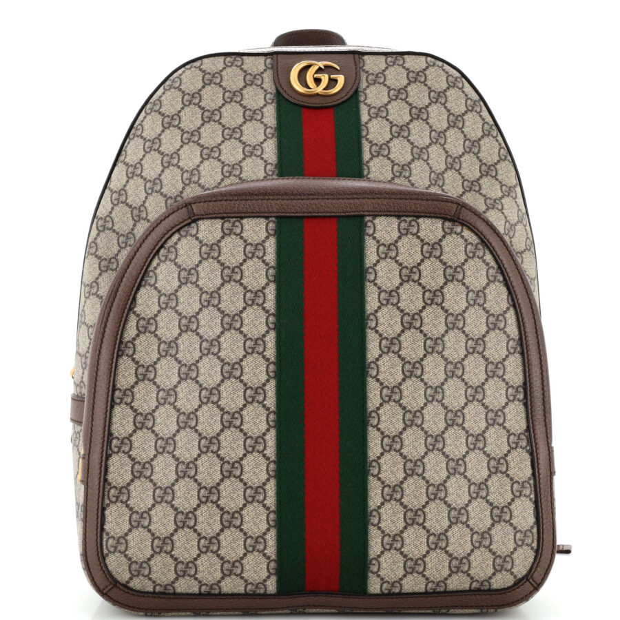 Gucci Ophidia bag – front view
