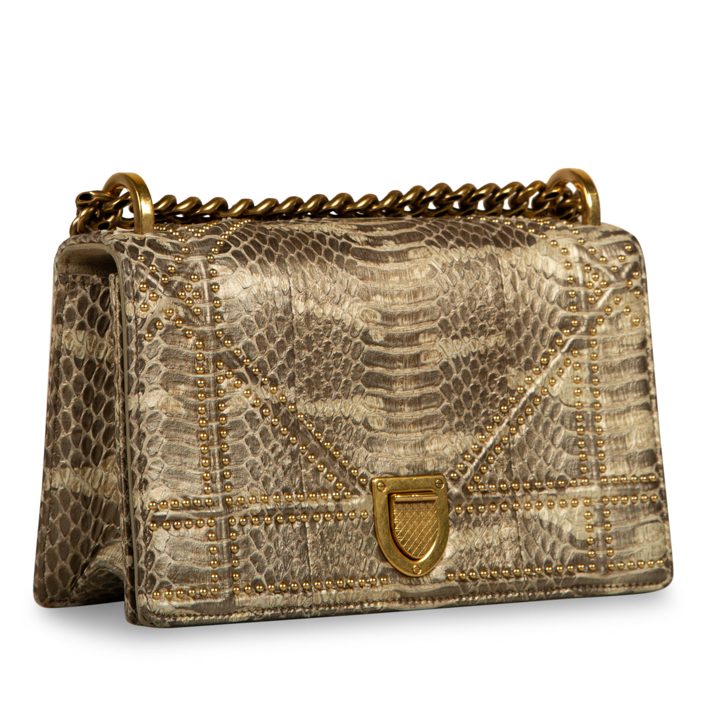 Small Studded Diorama - Python - Immagine del prodotto 2