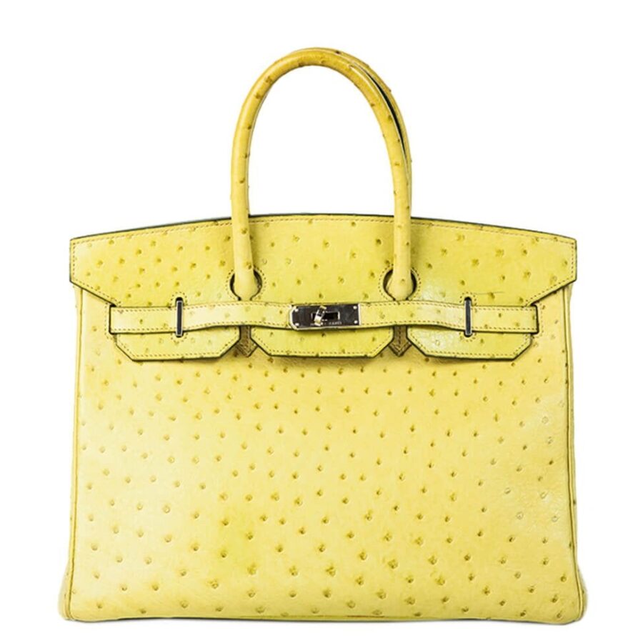 Hermes Birkin bag – front view