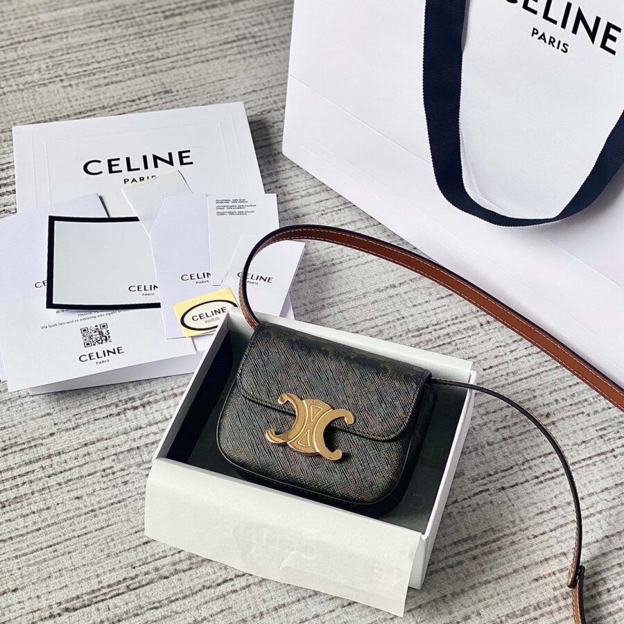Celine Triomphe brown bag – front view
